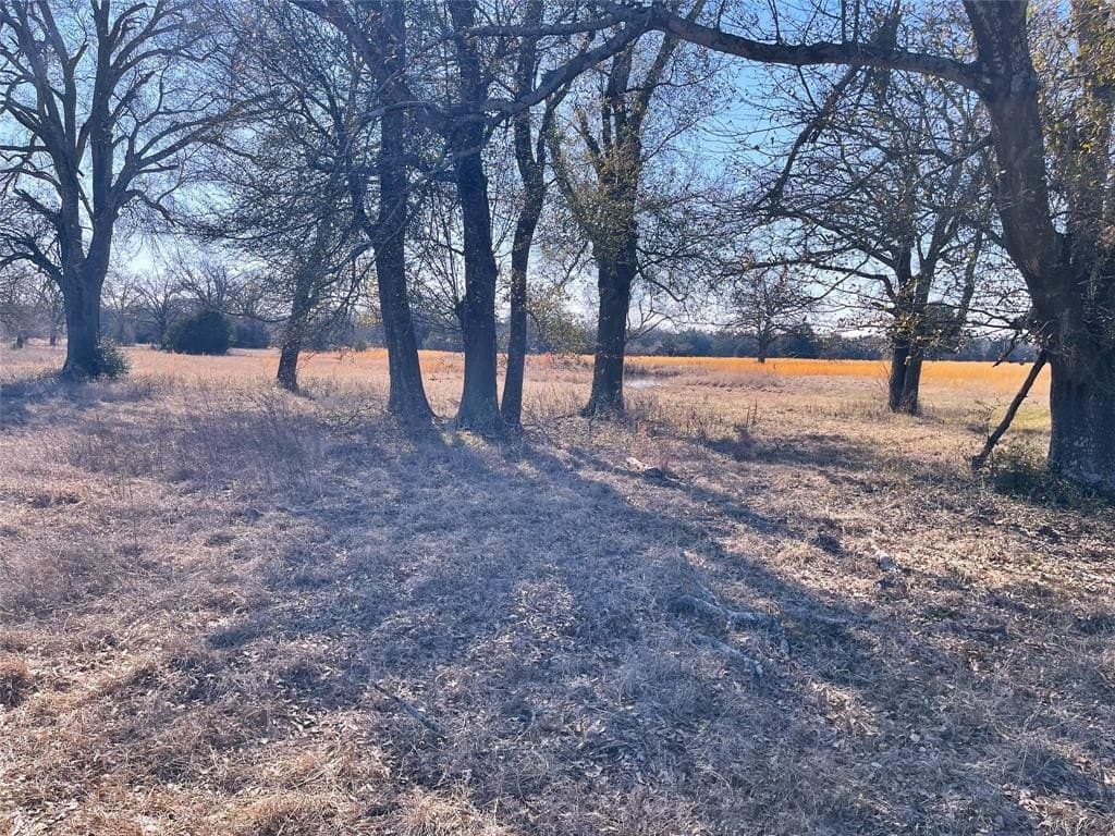 14.4 acres in Freestone County - photo 14