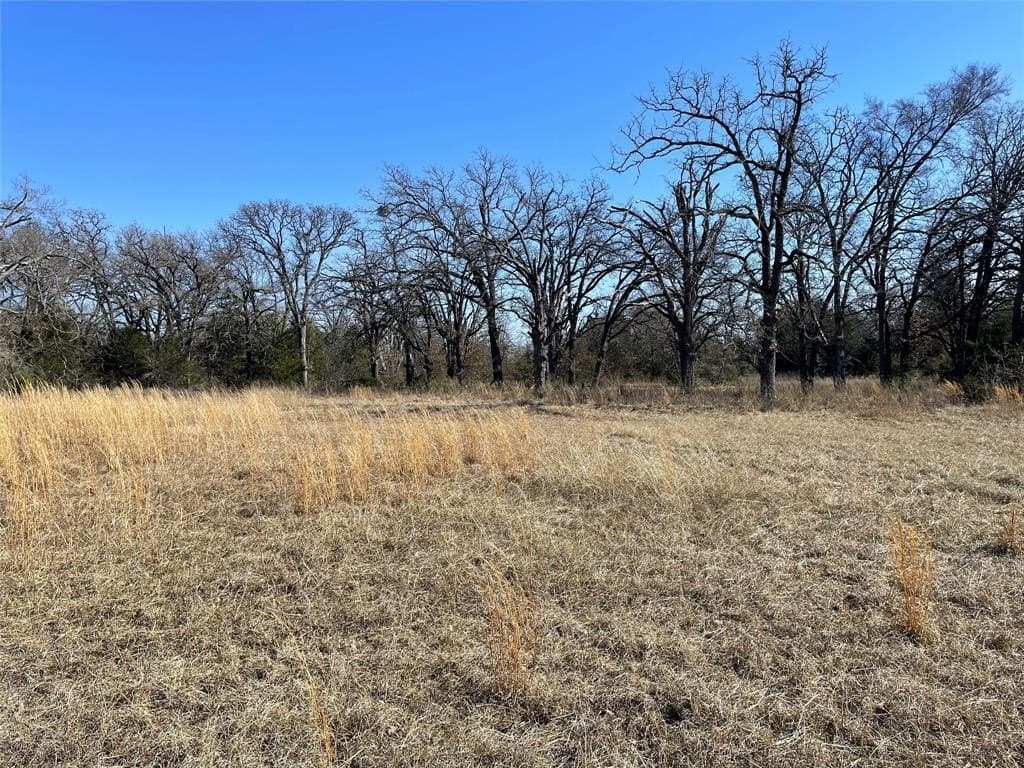 14.4 acres in Freestone County - photo 11