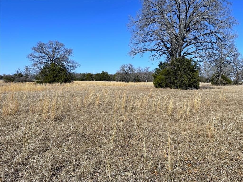 14.4 acres in Freestone County - photo 8