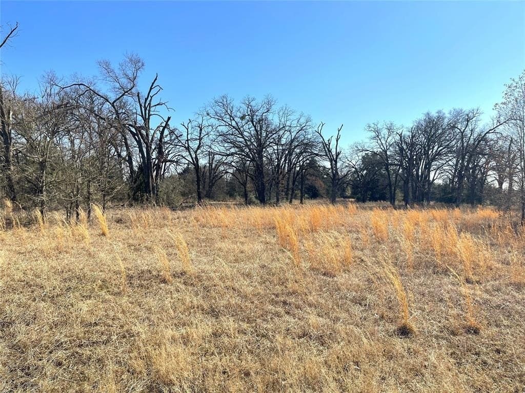 14.4 acres in Freestone County - photo 7