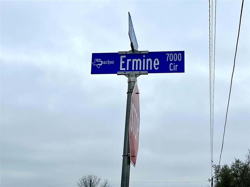 0.31 acres in Collin County - photo 4