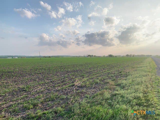 10.37 acres in Williamson County - photo 10