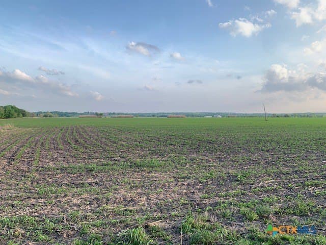 10.37 acres in Williamson County - photo 11