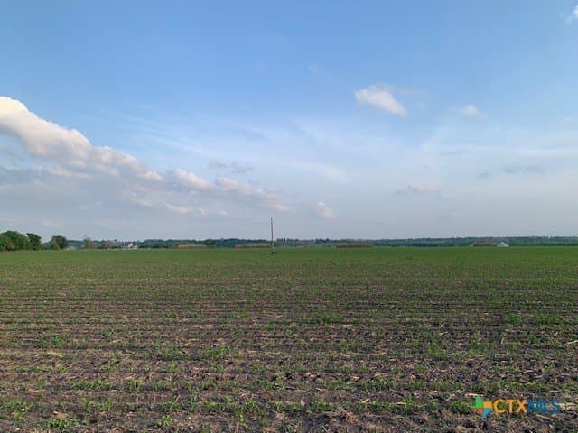 10.37 acres in Williamson County - photo 13