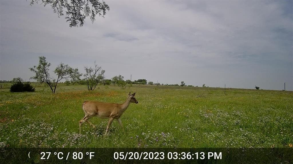 20.56 acres in Hamilton County - photo 6