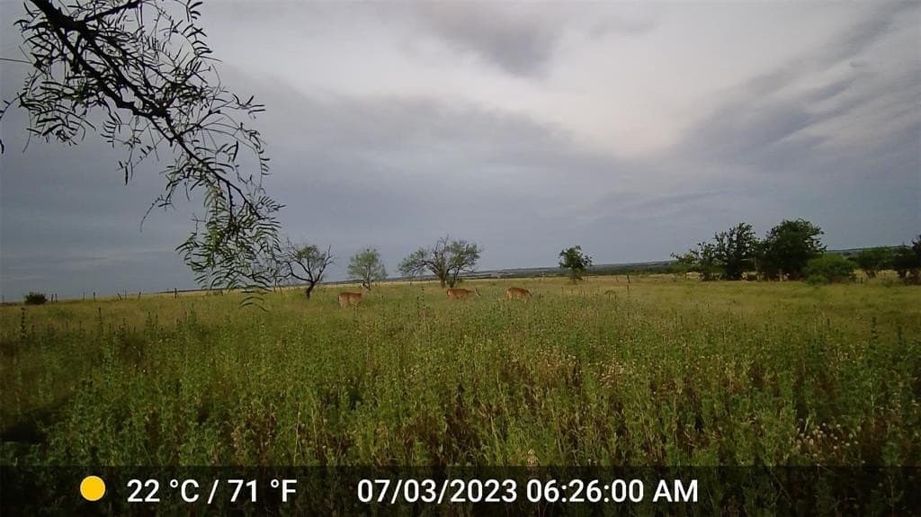 20.56 acres in Hamilton County - photo 3