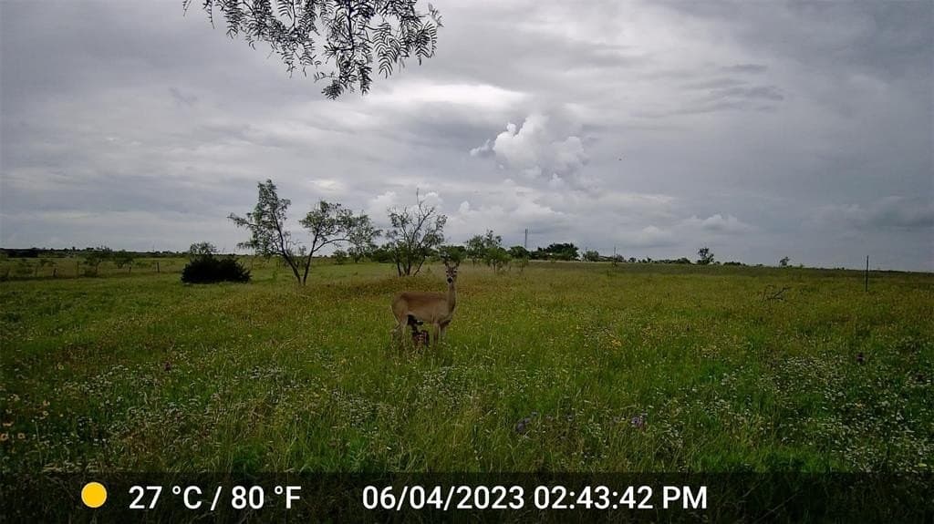 20.56 acres in Hamilton County - photo 10