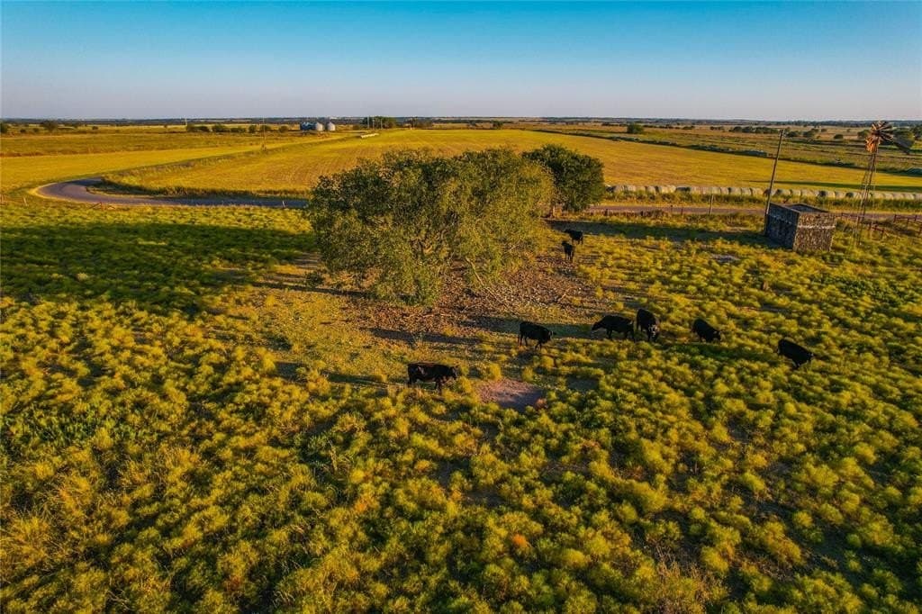 148 acres in Coryell County - photo 21