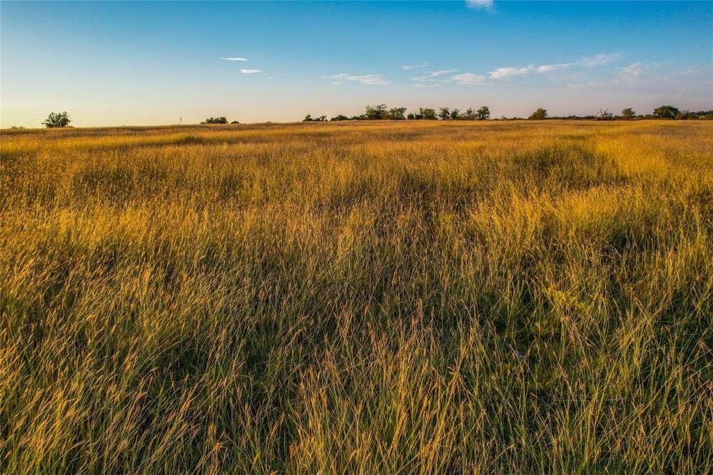 148 acres in Coryell County - photo 20