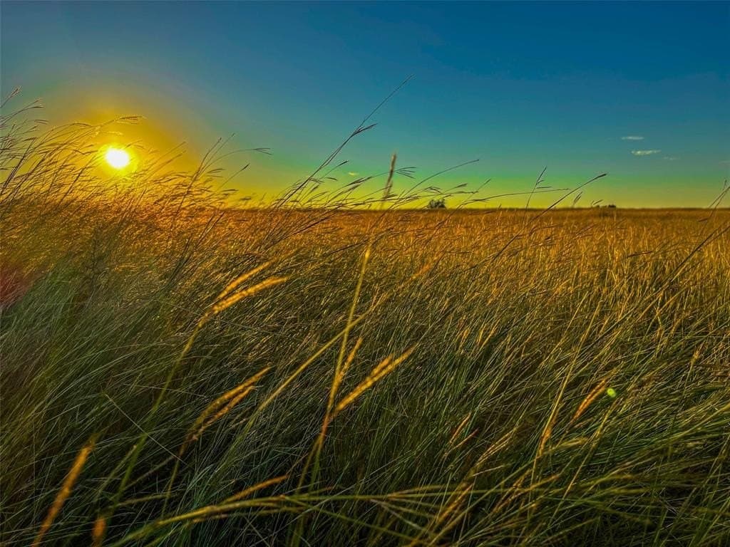 148 acres in Coryell County - photo 39