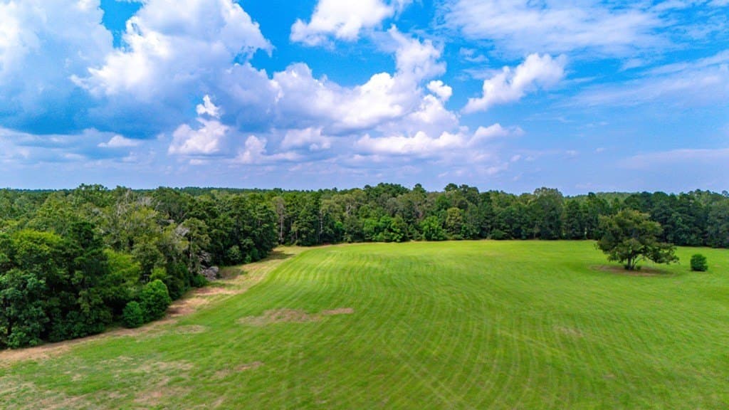 39.99 acres in Texas County - photo 5