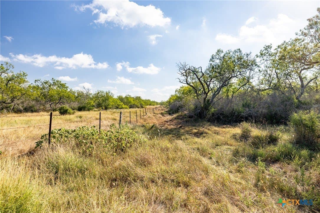 50 acres in Gonzales County - photo 2