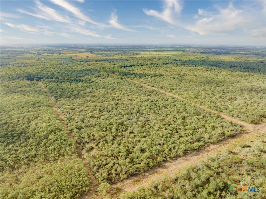 50 acres in Gonzales County - photo 4