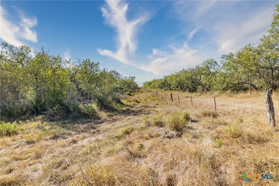 50 acres in Gonzales County - photo 3