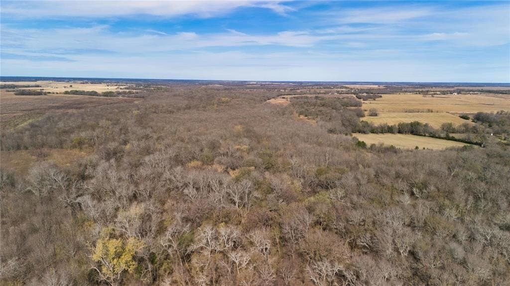 8.6 acres in Delta County - photo 11
