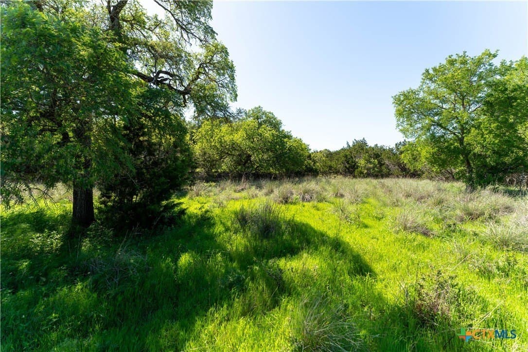 1.65 acres in Comal County - photo 6