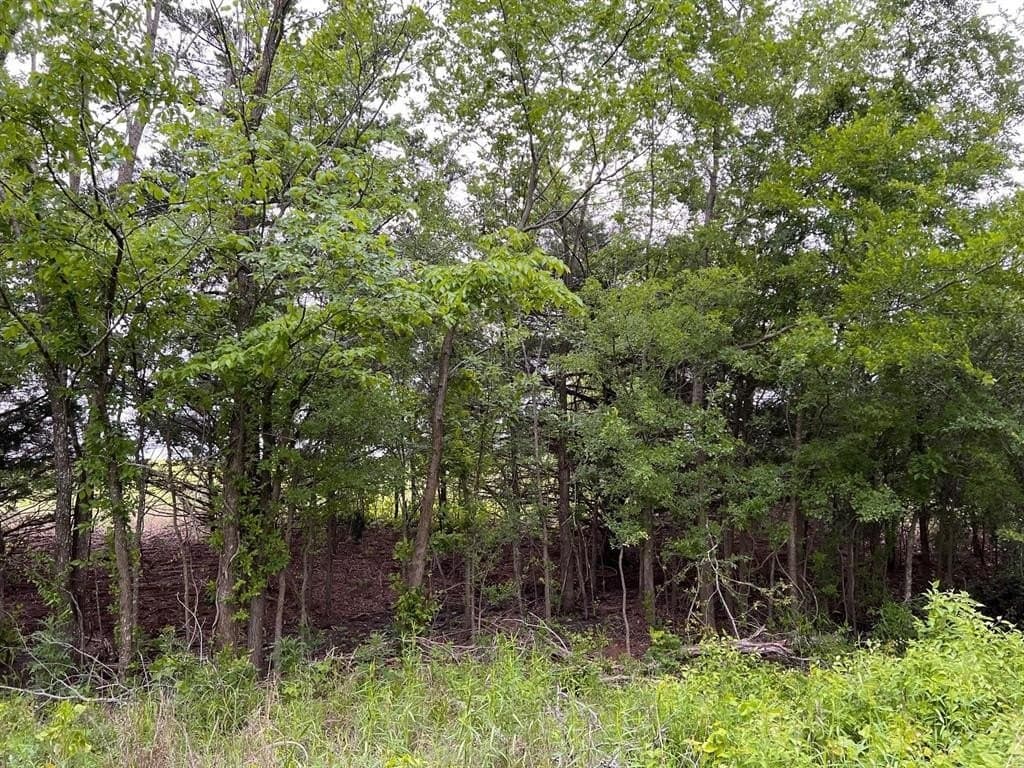 56.27 acres in Lamar County - photo 18