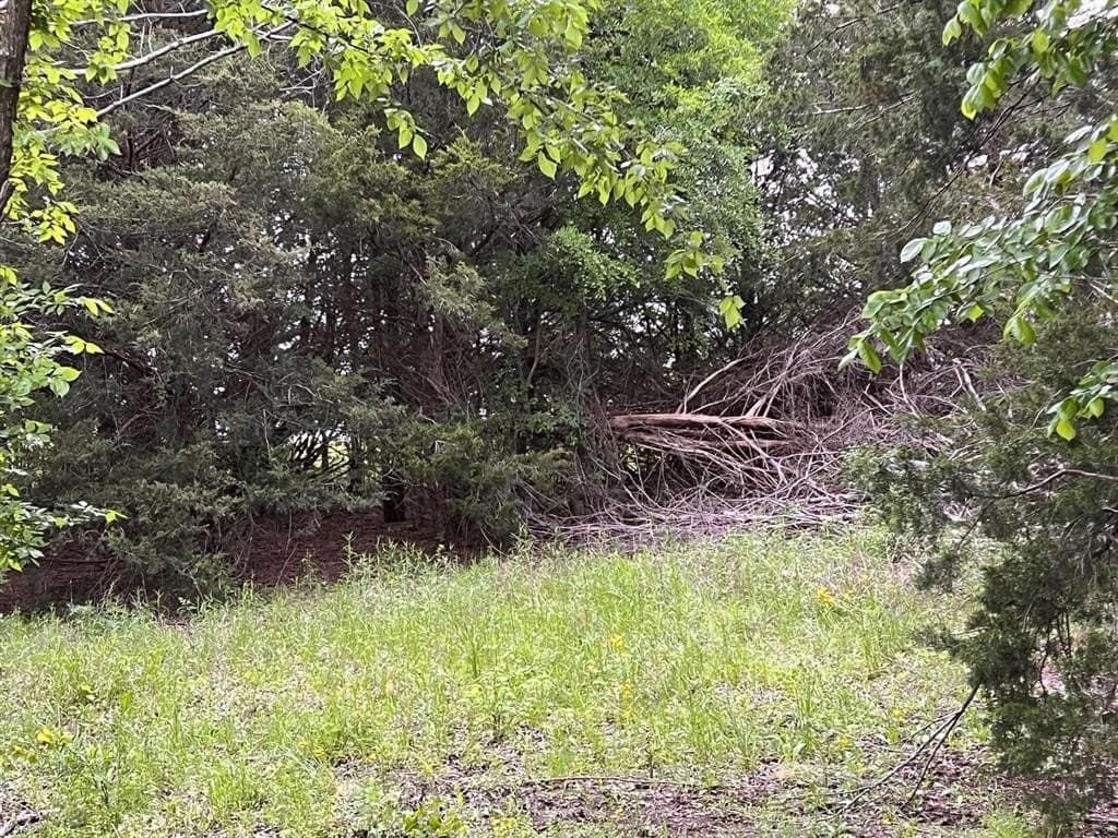 56.27 acres in Lamar County - photo 17