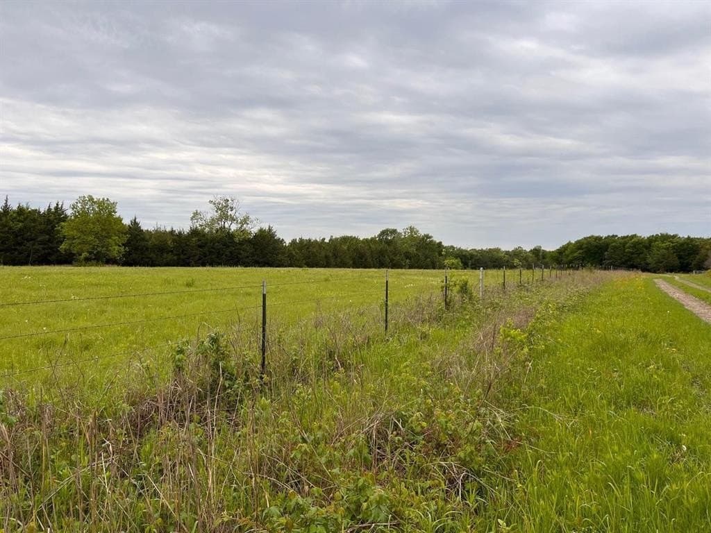 56.27 acres in Lamar County - photo 12