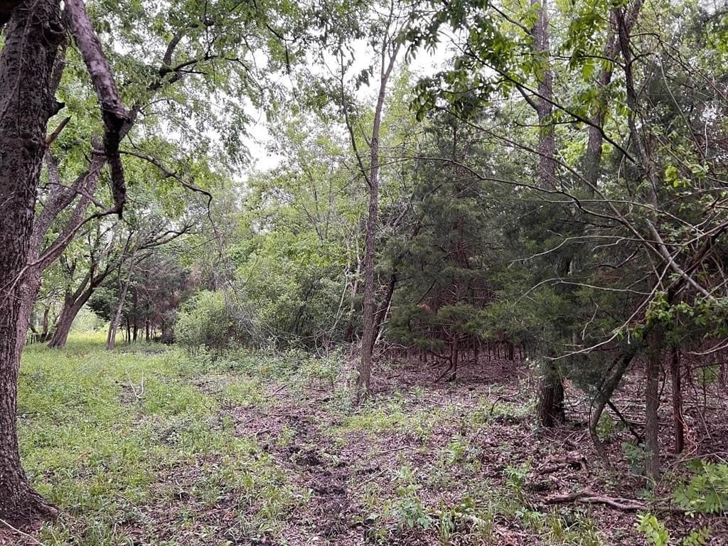 56.27 acres in Lamar County - photo 20