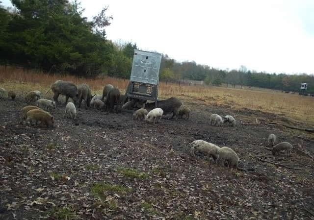 56.27 acres in Lamar County - photo 7