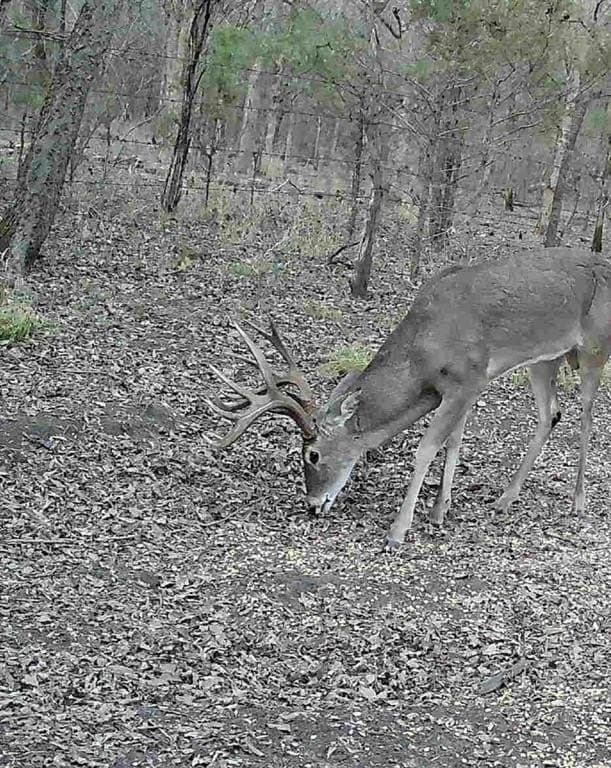 56.27 acres in Lamar County - photo 9