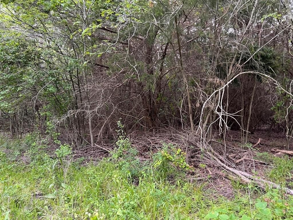 56.27 acres in Lamar County - photo 22