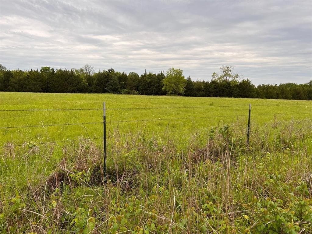 56.27 acres in Lamar County - photo 13