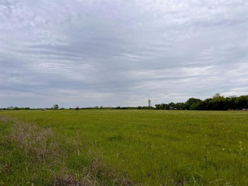 56.27 acres in Lamar County - photo 16
