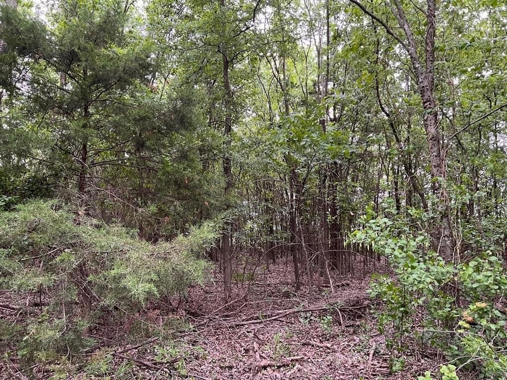 56.27 acres in Lamar County - photo 19