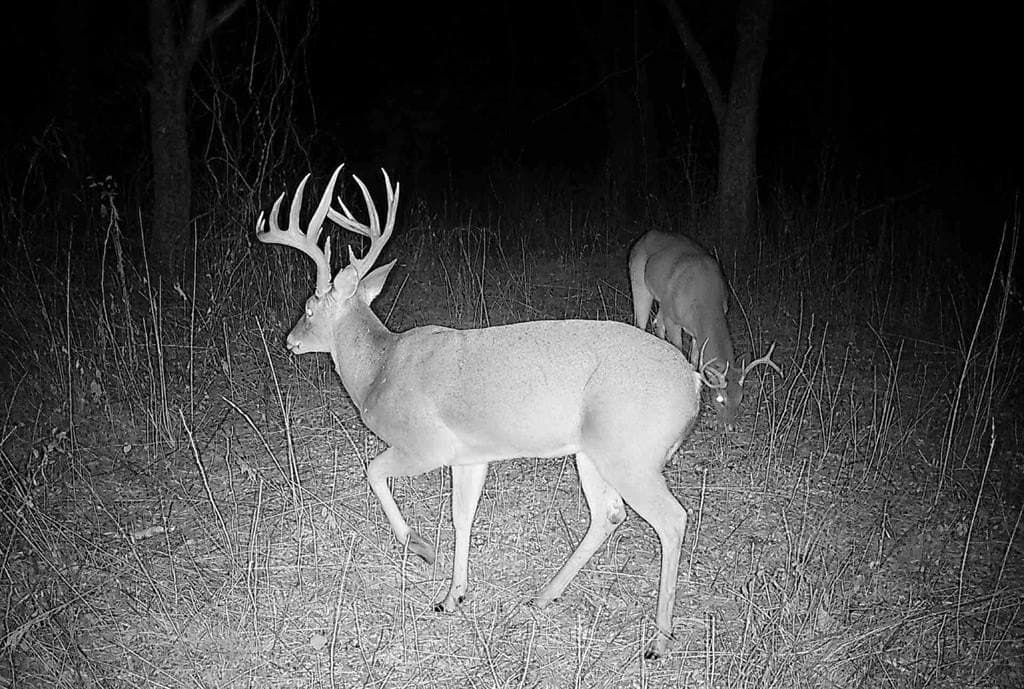 56.27 acres in Lamar County - photo 8