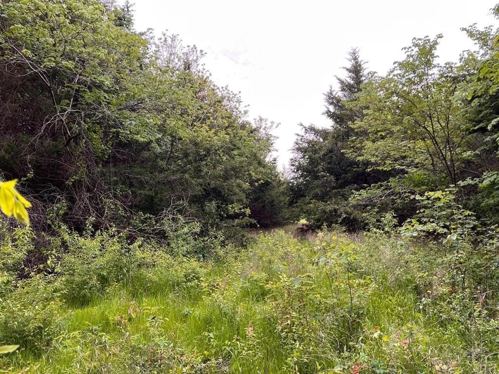 56.27 acres in Lamar County - photo 23