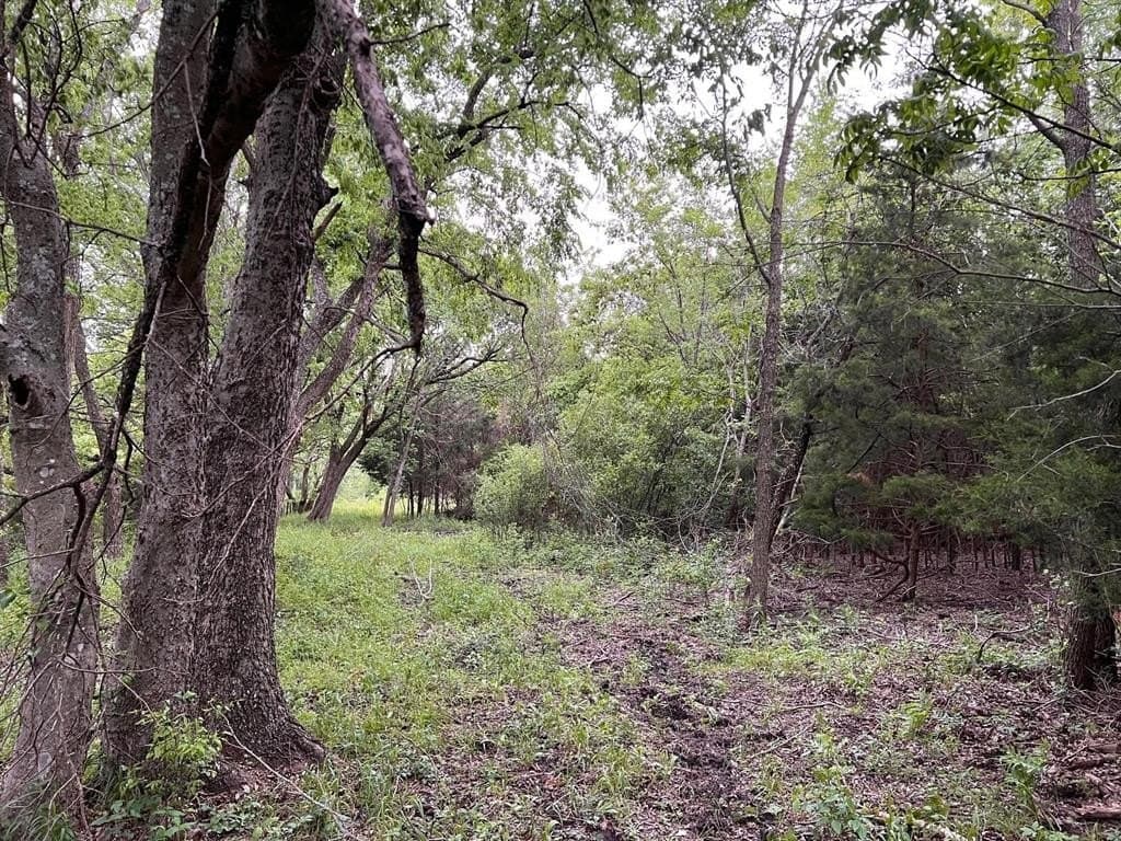 56.27 acres in Lamar County - photo 21