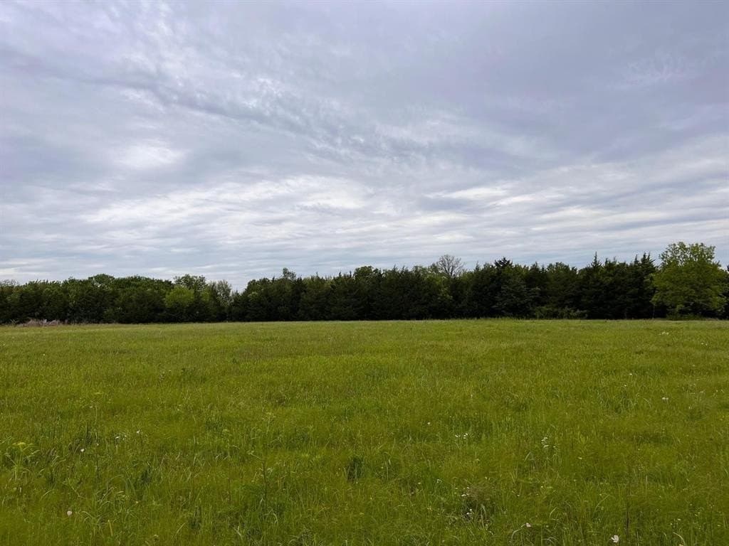 56.27 acres in Lamar County - photo 15