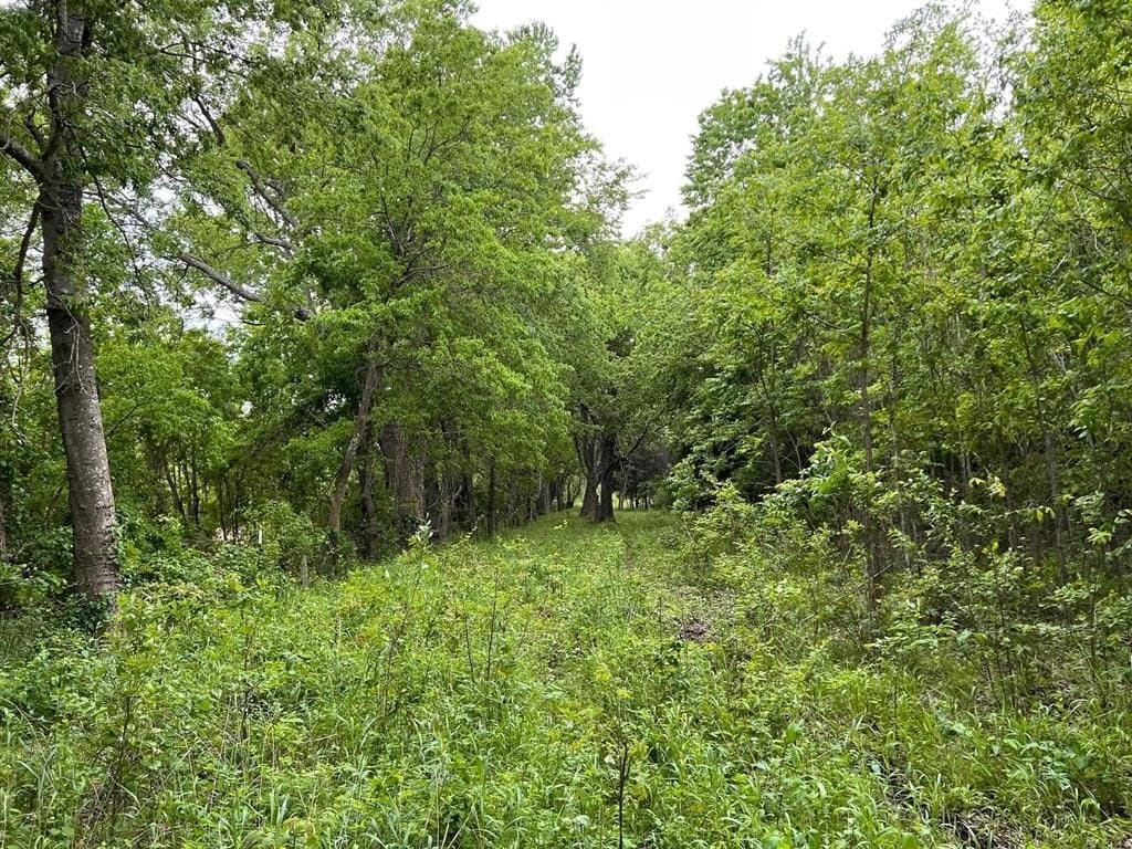56.27 acres in Lamar County - photo 10