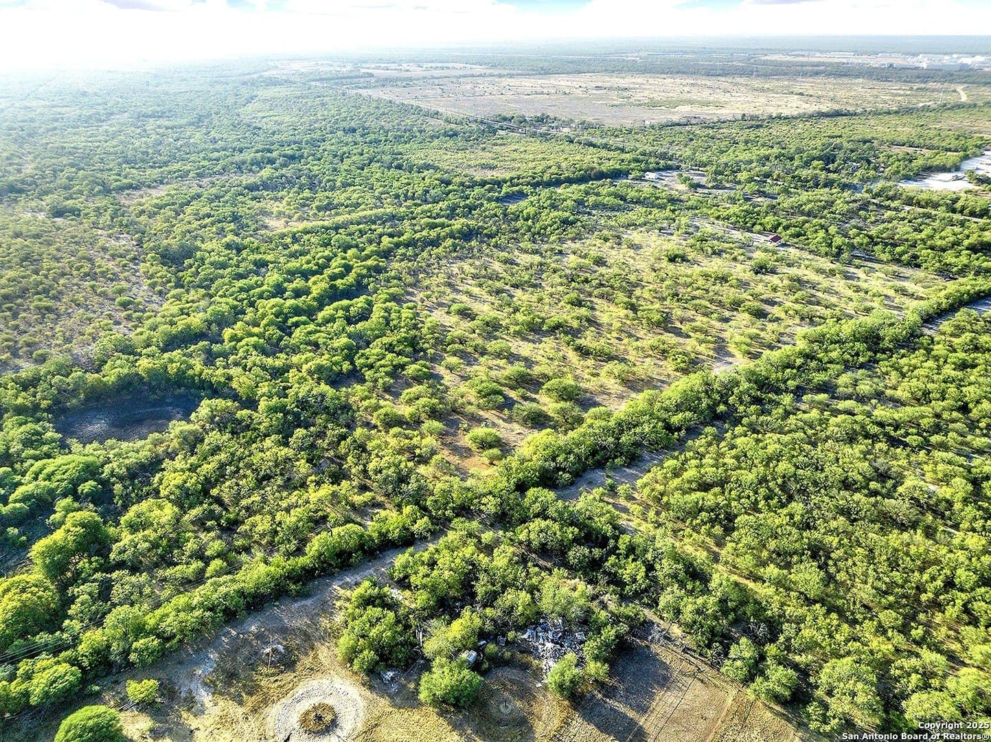40 acres in Bexar County - photo 3
