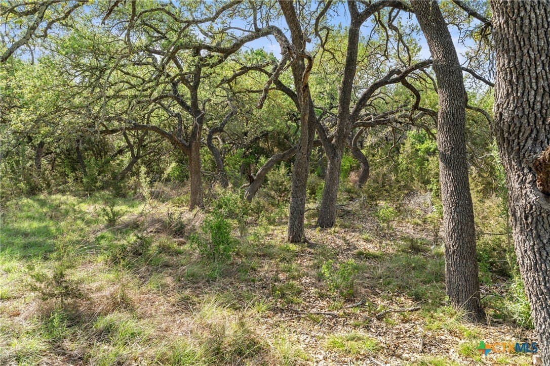 25.01 acres in Blanco County - photo 23