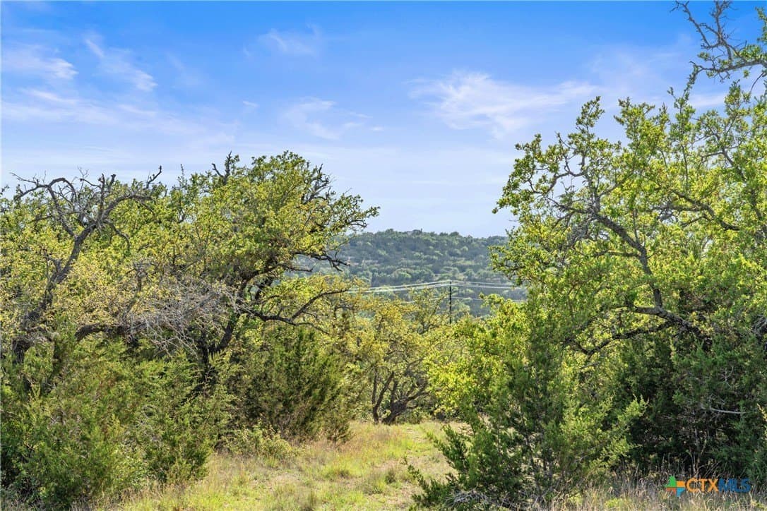 25.01 acres in Blanco County - photo 20