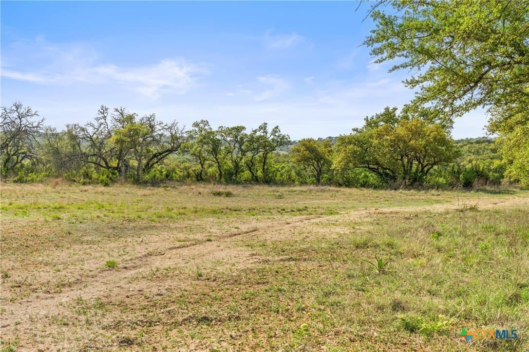 25.01 acres in Blanco County - photo 42