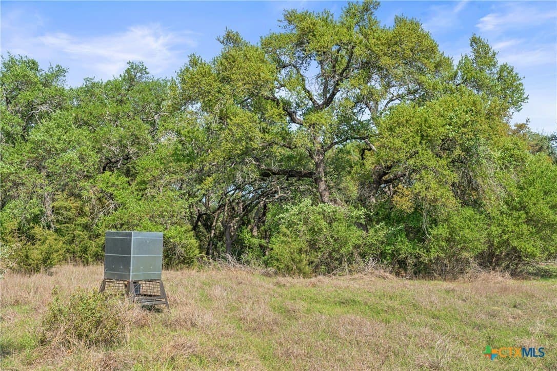 25.01 acres in Blanco County - photo 17