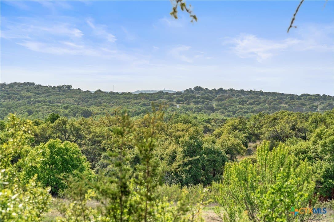 25.01 acres in Blanco County - photo 34