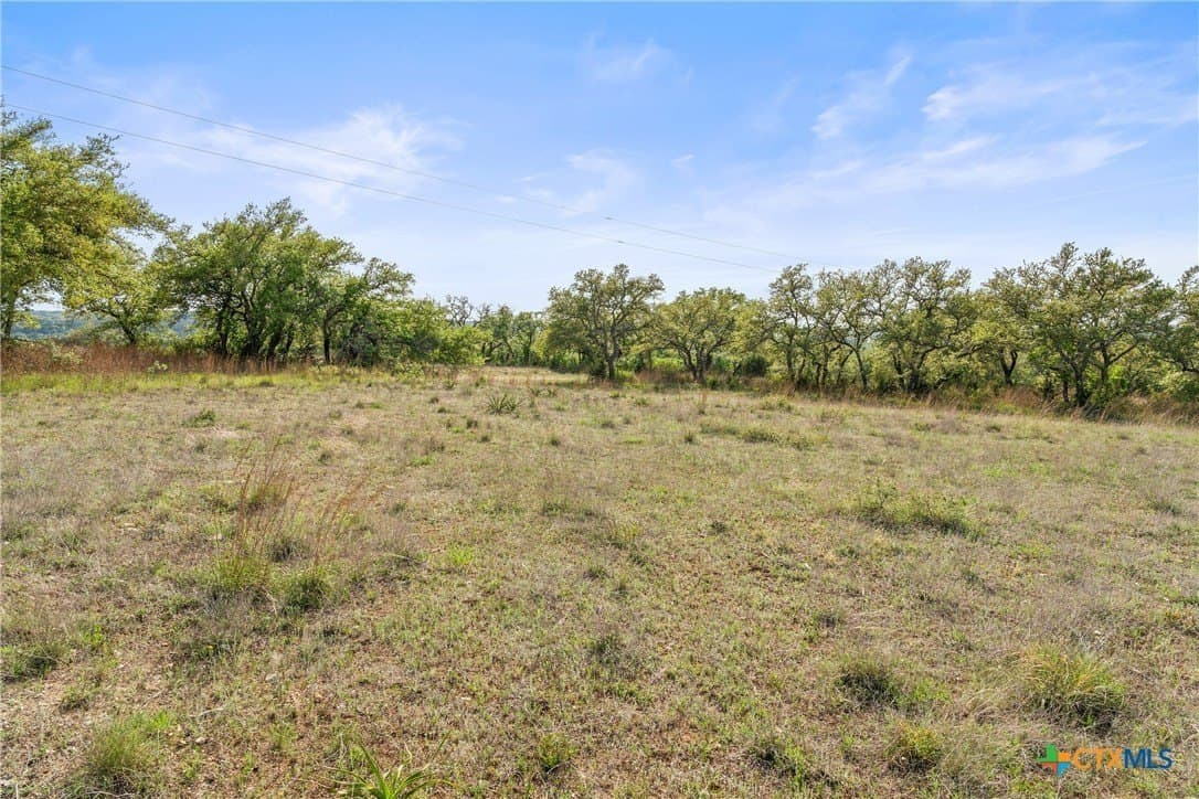 25.01 acres in Blanco County - photo 46