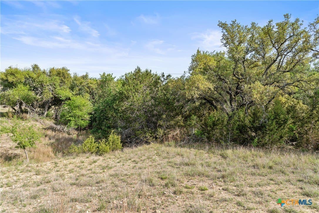 25.01 acres in Blanco County - photo 21