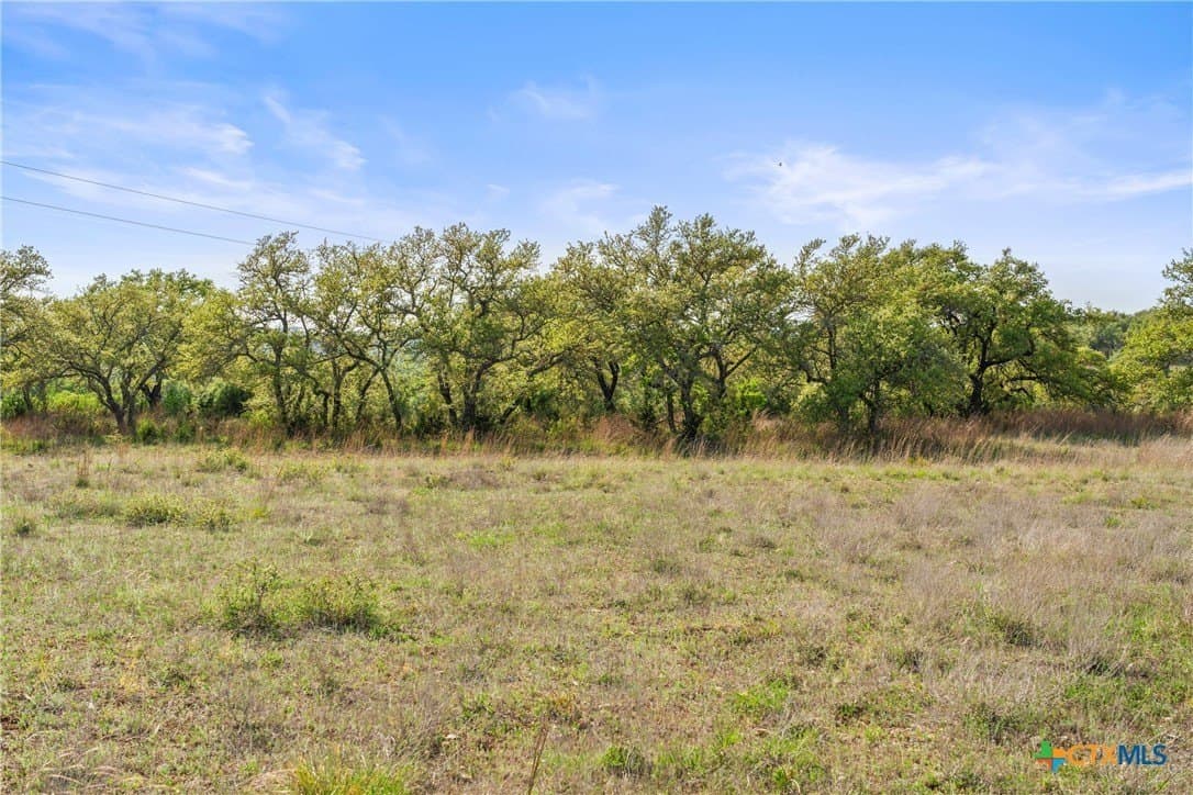 25.01 acres in Blanco County - photo 45