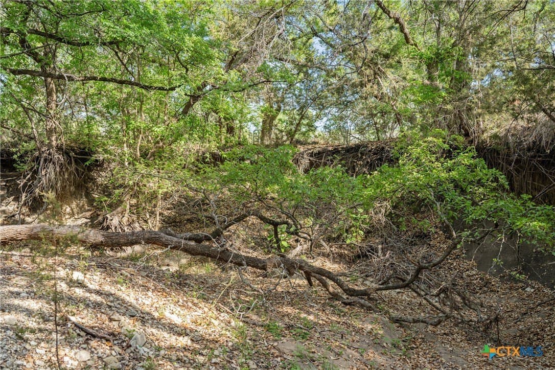 25.01 acres in Blanco County - photo 27
