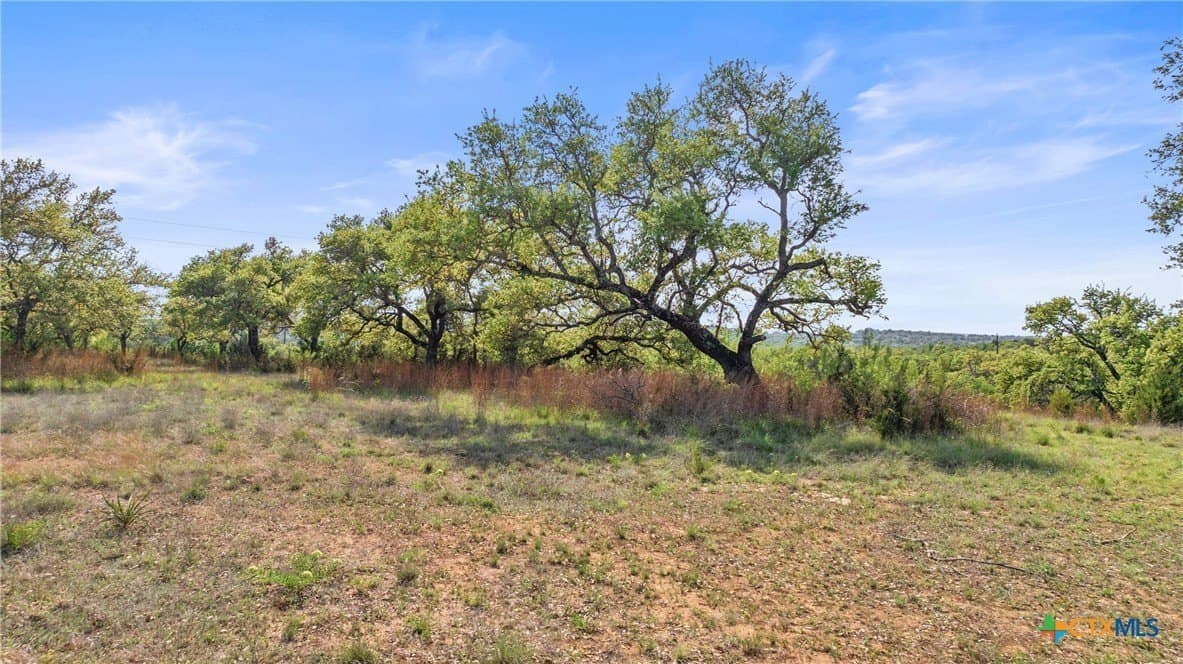 25.01 acres in Blanco County - photo 11
