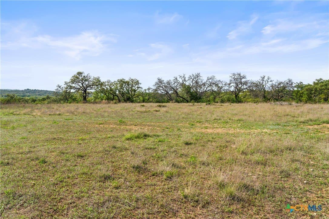 25.01 acres in Blanco County - photo 38