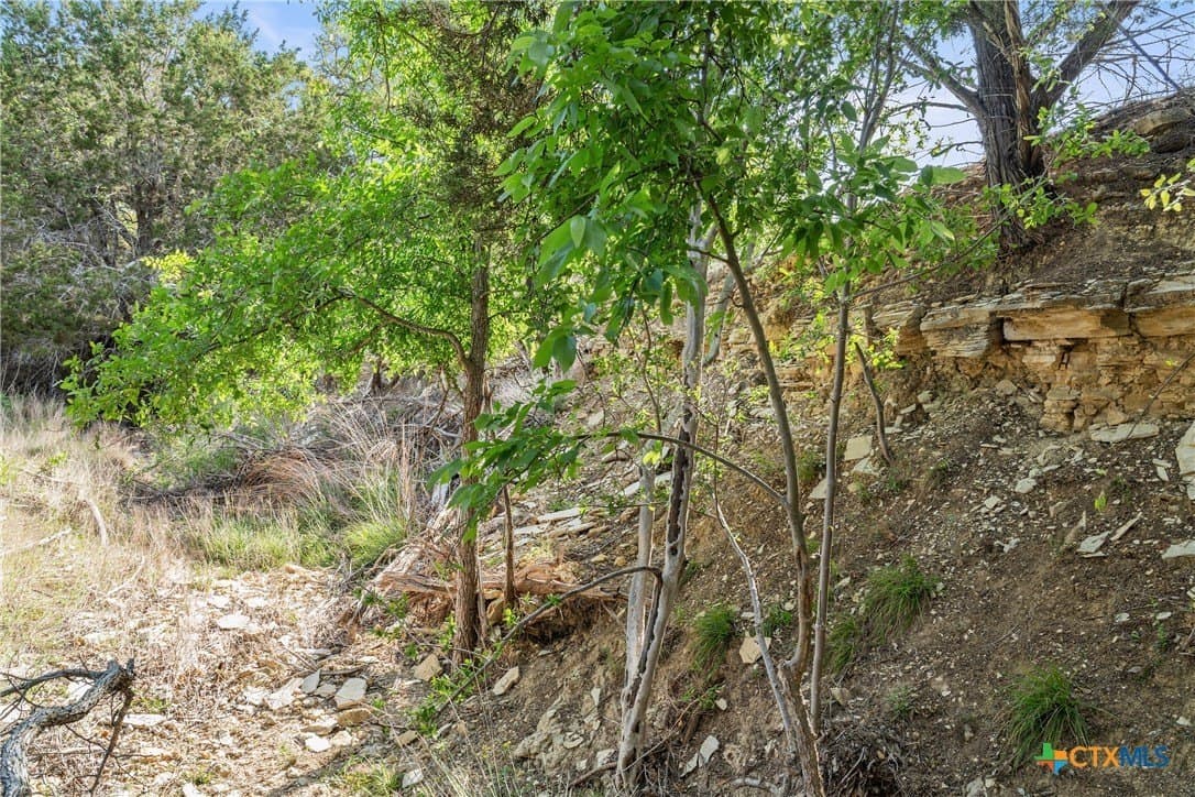25.01 acres in Blanco County - photo 25