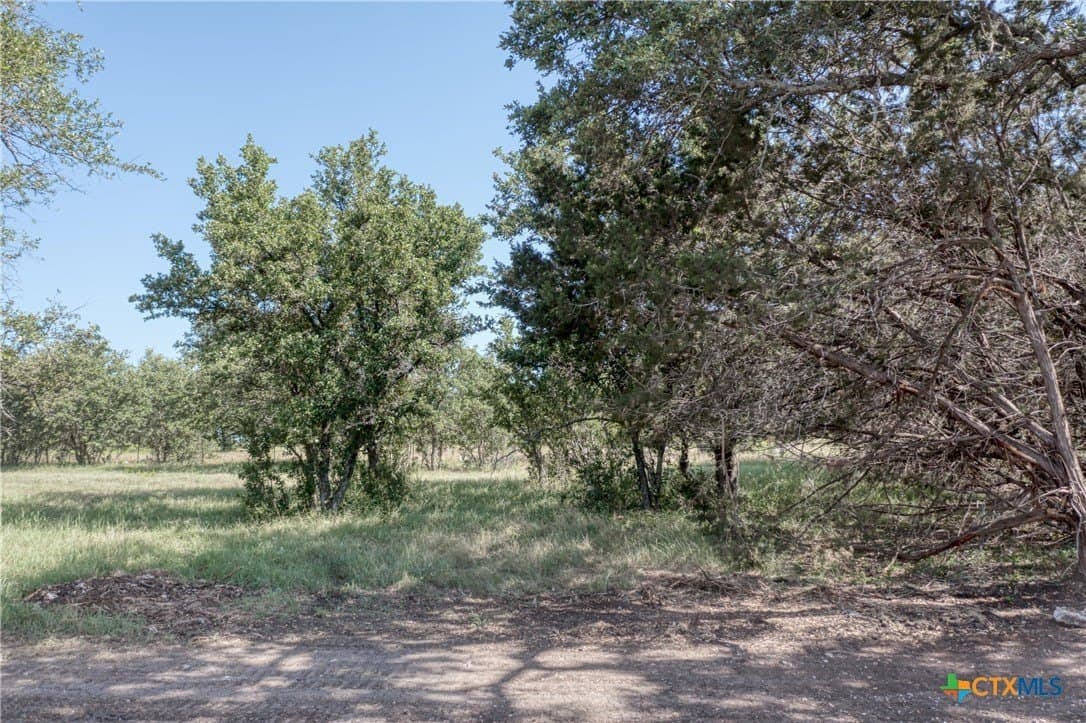 10.01 acres in Burnet County - photo 3