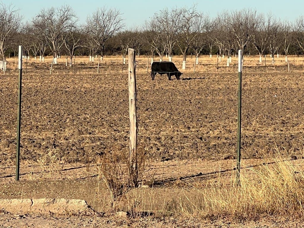 10 acres in Maverick County - photo 6